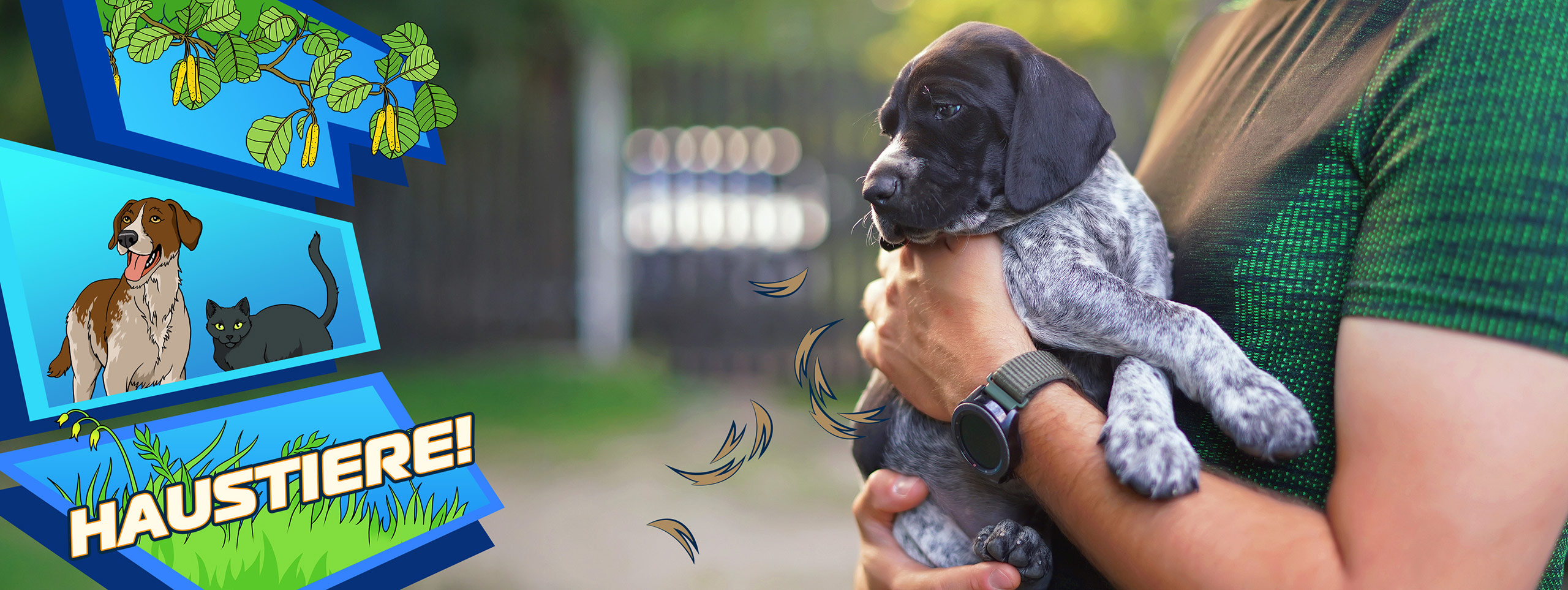 Xusal_DE_PetAllergy-article_desktop